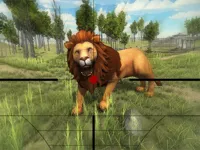 https://game.moais10.com/game/lion-hunting-3d