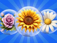 https://game.moais10.com/game/dice-puzzle-flowers