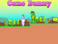 https://game.moais10.com/game/cano-bunny