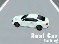 https://game.moais10.com/game/real-car-parking-3d